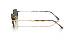 Ray-ban Rb 3749 Women Havana Oval Sunglasses