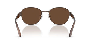 Ray-Ban RB 3766CH unisex Brown Sunglasses