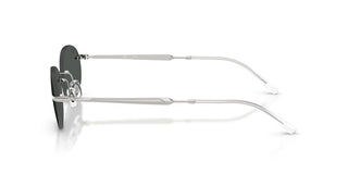 Ray-Ban RB 3767 unisex Silver Oval Sunglasses