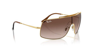 Ray-ban Rb 3897 Unisex Gold Shield Sunglasses