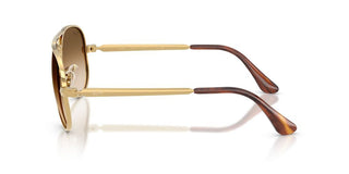 Ray-Ban RB 3925 unisex 0 Pilot Sunglasses