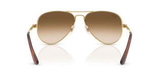 Ray-Ban RB 3925 unisex 0 Pilot Sunglasses