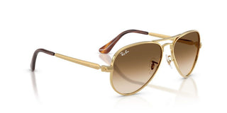Ray-Ban RB 3925 unisex 0 Pilot Sunglasses