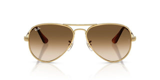 Ray-Ban RB 3925 unisex 0 Pilot Sunglasses