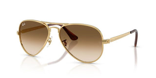 Ray-Ban RB 3925 unisex 0 Pilot Sunglasses