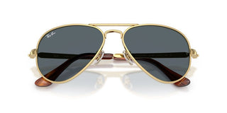 Ray-Ban RB 3925 unisex 0 Pilot Sunglasses