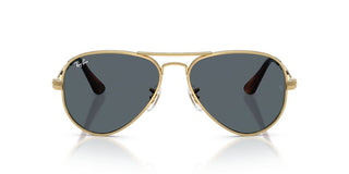 Ray-Ban RB 3925 unisex 0 Pilot Sunglasses