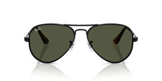 Ray-Ban RB 3925 unisex 0 Pilot Sunglasses