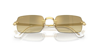 Ray-Ban RB 3928 unisex Gold Rectangle Sunglasses