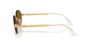 Ray-Ban RB 3929 unisex Gold Oval Sunglasses