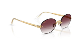 Ray-Ban RB 3929 unisex Gold Oval Sunglasses