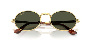 Ray-Ban RB 3931 unisex Gold Round Sunglasses