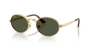 Ray-Ban RB 3931 unisex Gold Round Sunglasses