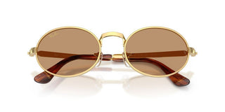 Ray-Ban RB 3931 unisex 0 Round Sunglasses