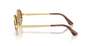Ray-Ban RB 3931 unisex 0 Round Sunglasses