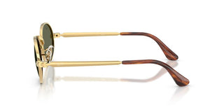Ray-Ban RB 3931 unisex Gold Round Sunglasses