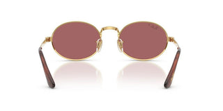 Ray-Ban RB 3931 unisex Gold Round Sunglasses
