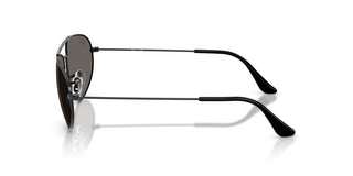 Ray-ban Rb 3945 Unisex Black Oval Sunglasses