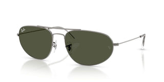 Ray-ban Rb 3945 Unisex Ruthenium Oval Sunglasses