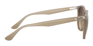 Ray-Ban RB 4306 unisex Brown Geometric Sunglasses