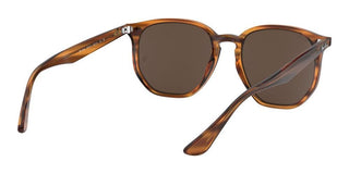 Ray-Ban RB 4306 unisex Havana Geometric Sunglasses