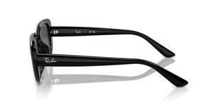 Ray-ban Rb 4421d Unisex Black Other Sunglasses