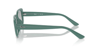 Ray-ban Rb 4421d Unisex Green Other Sunglasses