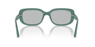 Ray-ban Rb 4421d Unisex Green Other Sunglasses