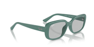 Ray-ban Rb 4421d Unisex Green Other Sunglasses