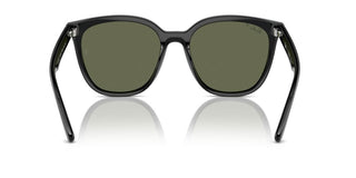 Ray-ban Rb 4423d Unisex Black Squared Sunglasses