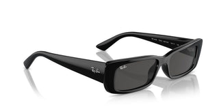 Ray-ban Rb 4425 Unisex Black Geometric Sunglasses