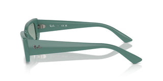 Ray-ban Rb 4425 Unisex Green Geometric Sunglasses