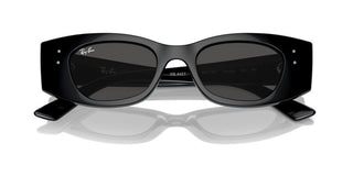 Ray-ban Rb 4427 Unisex Black Other Sunglasses
