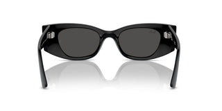 Ray-ban Rb 4427 Unisex Black Other Sunglasses