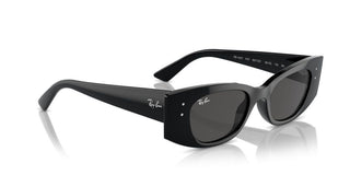 Ray-ban Rb 4427 Unisex Black Other Sunglasses