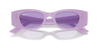 Ray-ban Rb 4427 Unisex Violet Other Sunglasses