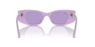 Ray-ban Rb 4427 Unisex Violet Other Sunglasses