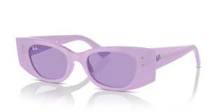 Ray-ban Rb 4427 Unisex Violet Other Sunglasses