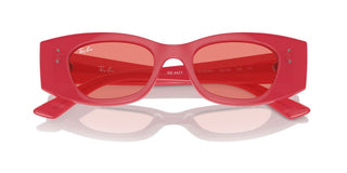 Ray-ban Rb 4427 Unisex Red Other Sunglasses