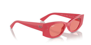 Ray-ban Rb 4427 Unisex Red Other Sunglasses