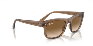 Ray-Ban RB 4428 unisex Brown Squared Sunglasses
