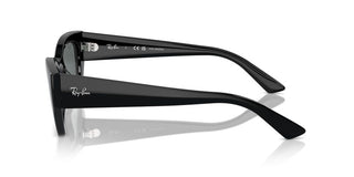 Ray-ban Rb 4430 Unisex Black Squared Sunglasses