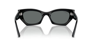 Ray-ban Rb 4430 Unisex Black Squared Sunglasses