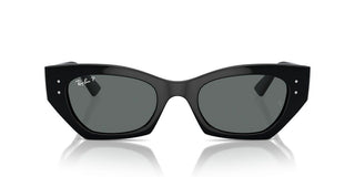Ray-ban Rb 4430 Unisex Black Squared Sunglasses
