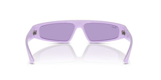 Ray-ban Rb 4432 Unisex Violet Other Sunglasses
