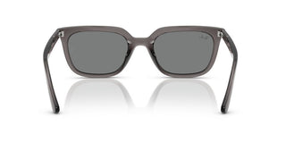 Ray-ban Rb 4439d Unisex Grey Squared Sunglasses