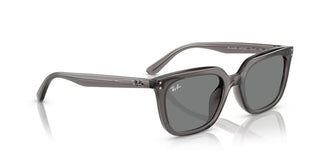 Ray-ban Rb 4439d Unisex Grey Squared Sunglasses