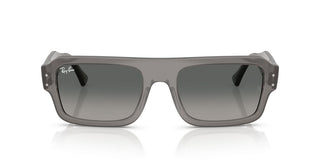 Ray-ban Rb 4454 Unisex Grey Rectangle Sunglasses