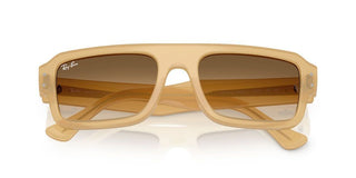 Ray-ban Rb 4454 Unisex Brown Rectangle Sunglasses