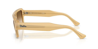 Ray-ban Rb 4454 Unisex Brown Rectangle Sunglasses